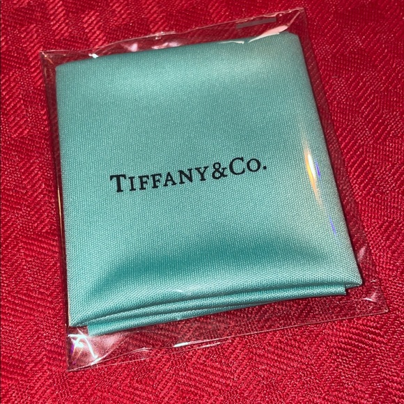Tiffany & Co. Turquoise Sunglasses Case - Picture 5 of 9